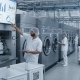 ¿Cómo garantiza LIMP la trazabilidad y el control de calidad en una lavandería industrial en Valencia?